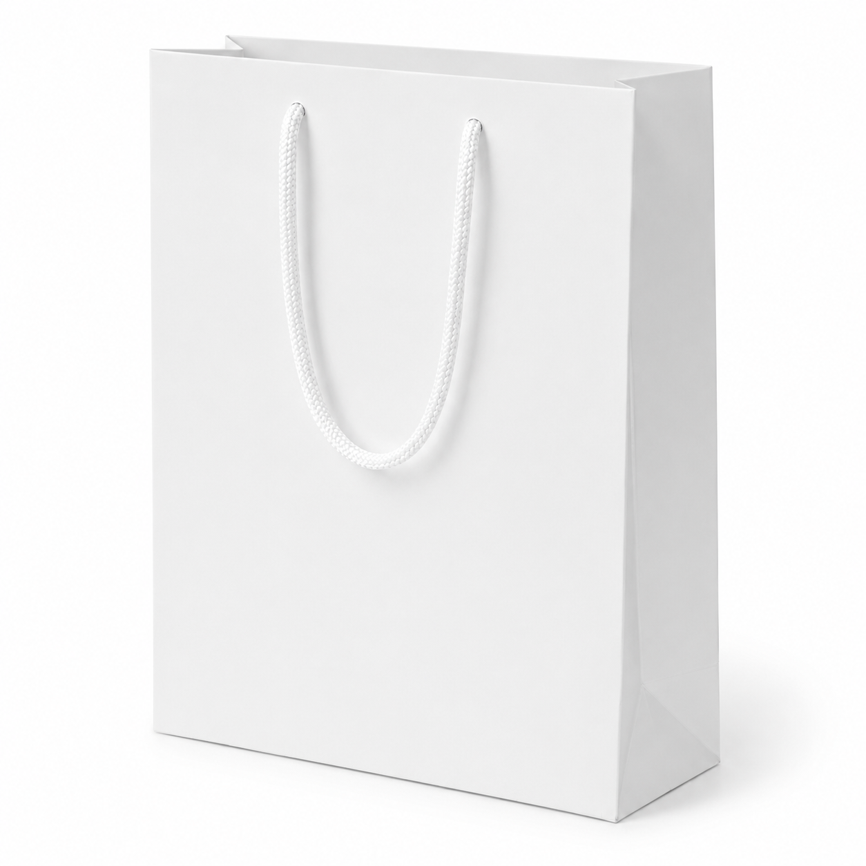 Luxury Coated Paper Rope Handle Bag